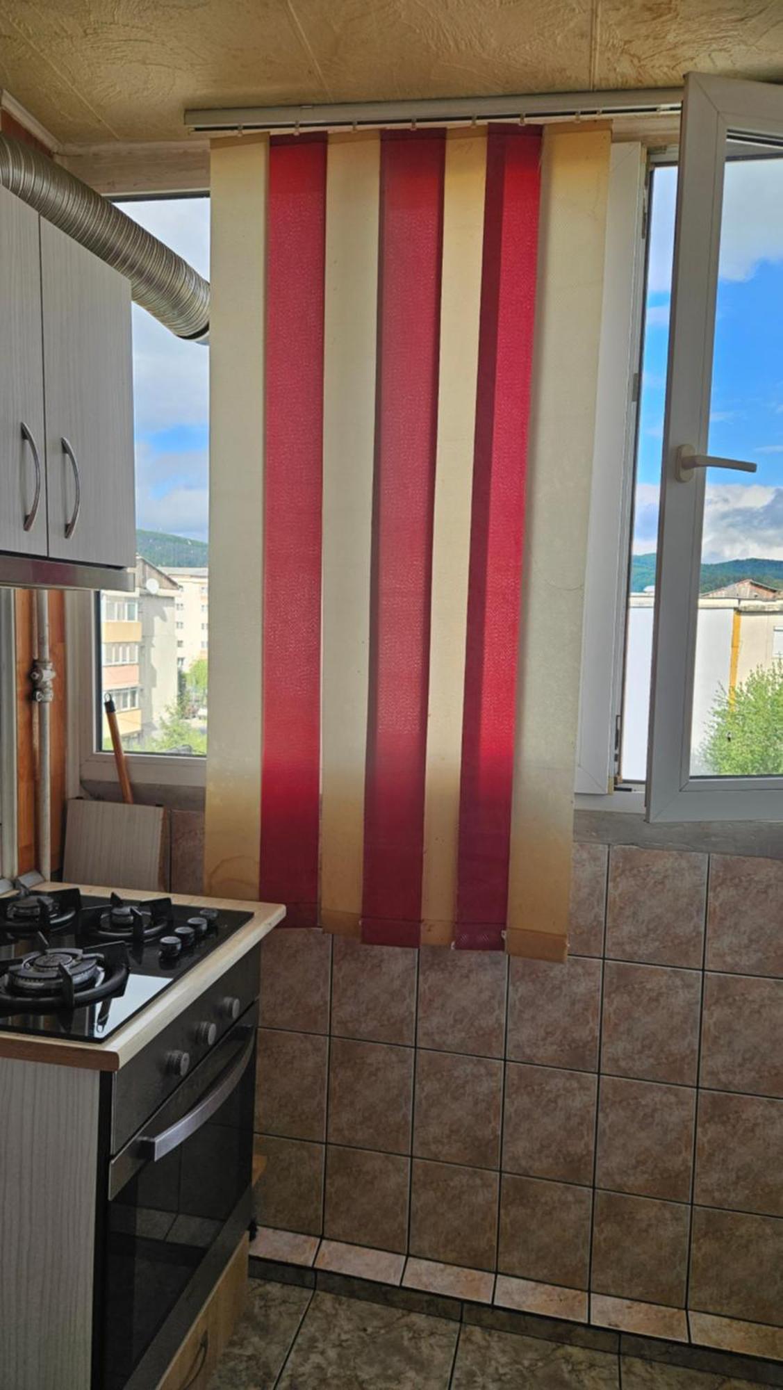 Simona Apartamento Curtea de Argeş Exterior foto